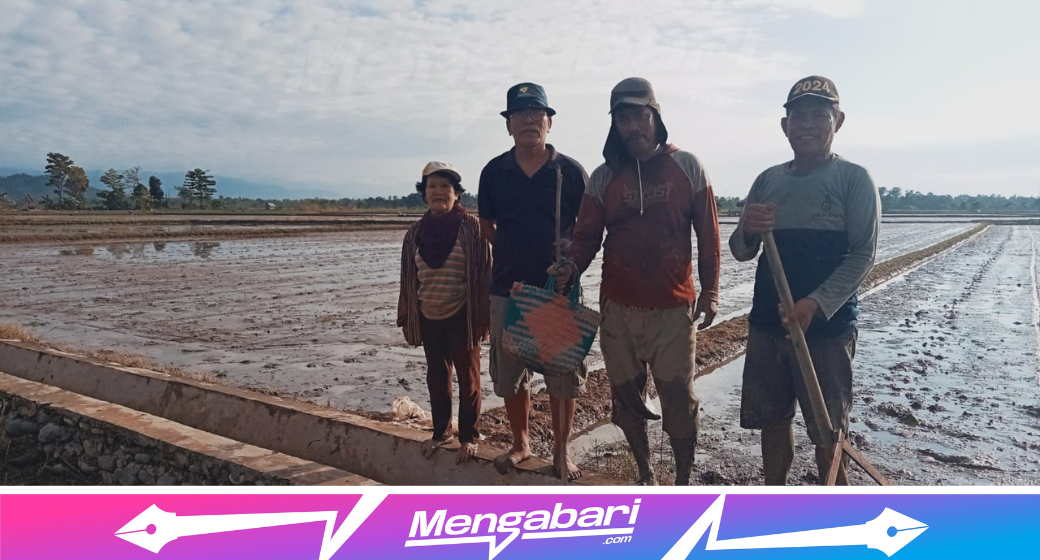 Para petani melihat paritas mustajab yang sementara di tabela